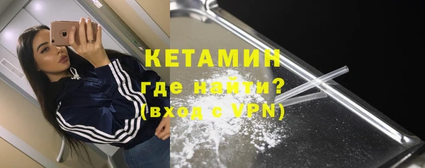 сатива Новодвинск