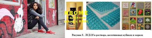 дурь Аркадак