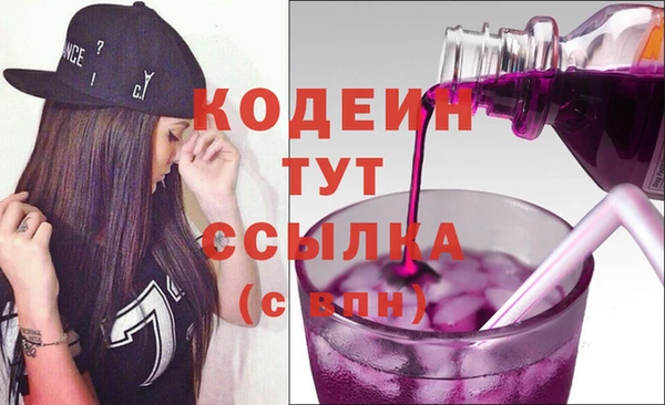 сатива Новодвинск