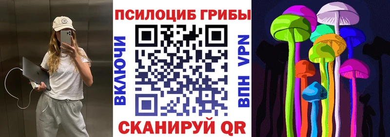купить Омутнинск Псилоцибиновые грибы Psilocybine cubensis